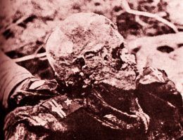 Zdjęcie z 1943 roku z ekshumacji ciał polskich oficerów zamordowanych przez NKWD w Katyniu w 1940. Naramienniki wskazują że ofiara była majorem 1 pułku szwoleżerów im. Józefa Piłsudskiego. Są to zwłoki mjr Adama Solskiego z 57 Pułku Piechoty