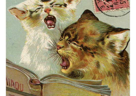 Wbrew pozorom związek frazeologiczny kocia muzyka nie ma nic wspólnego z dźwiękami wydawanymi przez harcujące koty. Na ilustracji fragment XIX-wiecznej francuskiej pocztówki z muzykalnymi kotami.