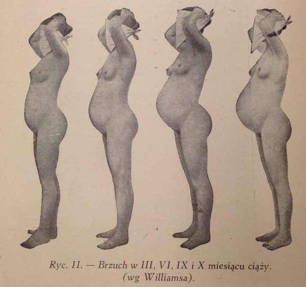 Nawet dla najbardziej postępowych specjalistów seks był przede wszystkim środkiem na drodze do celu - ciąży. Ilustracja z "Encyklopedii życia seksualnego" (1937).