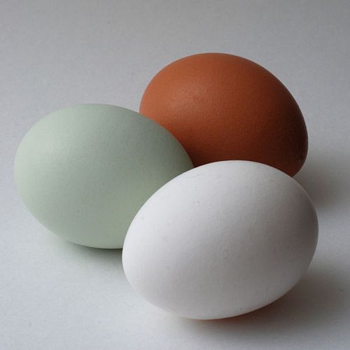 Te jaja można spokojnie pokazać, nawet w Afganistanie (źródło: domena publiczna).