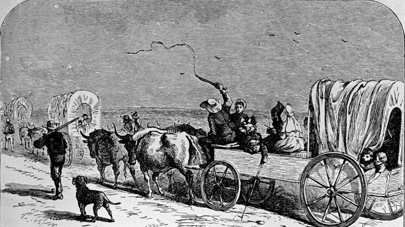 Niemieccy osadnicy w drodze do osady Neu Branunfels w Teksasie w 1844 roku. Wędrujący 10 lat później Ślązacy nie mieli tak wygodnie... (fot. Bundesarchiv, Bild 137-005007, lic. CC-BY-SA 3.0 de).