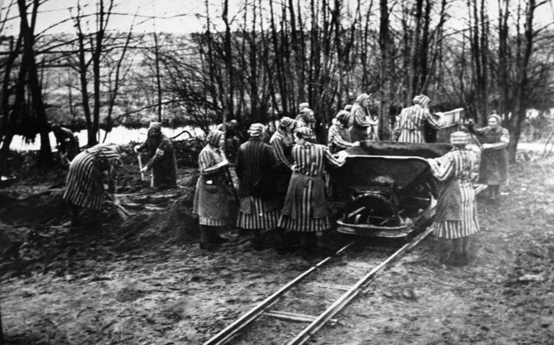 Więźniarki obozu Ravensbrück poza niewolniczą pracą, padały również ofiarą nieludzkich eksperymentów medycznych. Wśród ich oprawców był Walter Paul Schreiber (źródło: Bundesarchiv; lic. CC ASA 3.0).