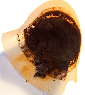 Filtr wypełniony fusami z kawy (zdj. domena publiczna).