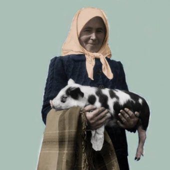 Wiejska handlarka z prosiakiem. Wierzpowinę, w przeciwieństwie do mięsa króliczego ciężko było podrobić. (1940 rok, zdjęcie zrobione przez fotoreportera gadzinowego Wydawnictwa Prasowe Kraków-Warszawa)