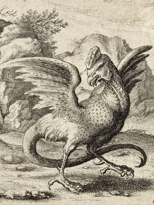 Wystarczyła niewielka ciastkowa pomyłka i już miało się w zagrodzie monstrum. Bazyliszek z ryciny Wacława Hollara z połowy XVII wieku (źródło: domena publiczna).