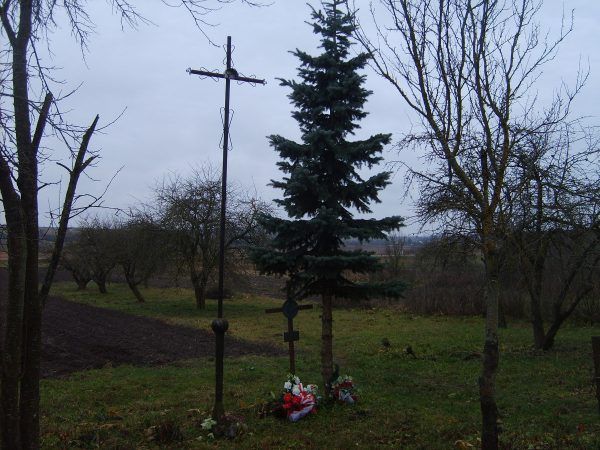 Kryże na miejscu bitwy pod Kodziowcami (fot. Ministerstwo Spraw Zagranicznych Rzeczypospolitej Polskiej, CC BY-ND 2.0).