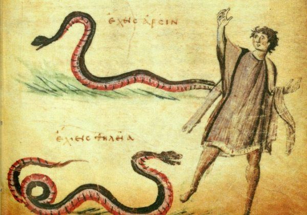 Praski dwór był prawdziwym gniazdem żmij. Jeden nieostrożny krok oznaczał pewną śmierć. Na ilustracji podobizny jadowitych węży z X-wiecznego, bizantyjskiego kodeksu.