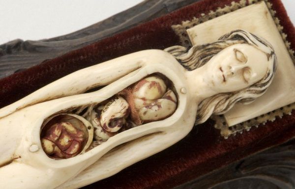XVII-wieczny manekin z kości słoniowej przedstawiający kobietę w ciąży wraz z ruchomymi organami wewnętrznymi (fot. Wellcome Images, lic. CC BY 4.0 ).