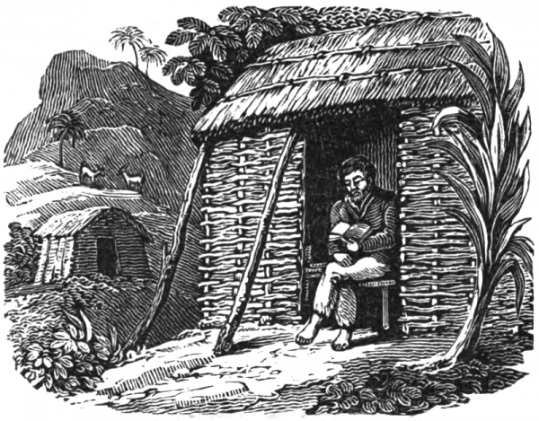 Legendarny marynarz Aleksander Selkirk spędził na bezludnej wyspie prawie pięć lat. Ilustracja przedstawia szkockiego rozbitka, który czyta Biblię w zbudowanym przez siebie szałasie (źródło: domena publiczna). 