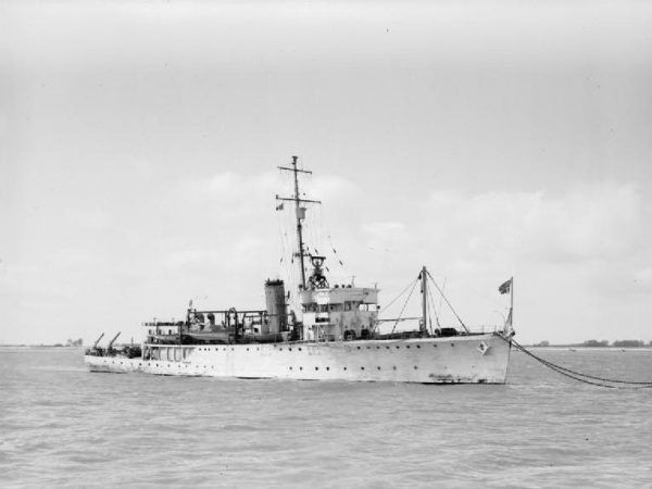 Brytyjski HMS „Seagull”, trałowiec, którego załoga tak zacięcie atakowała ORP „Jastrzębia” (źródło: Royal Navy, domena publiczna).