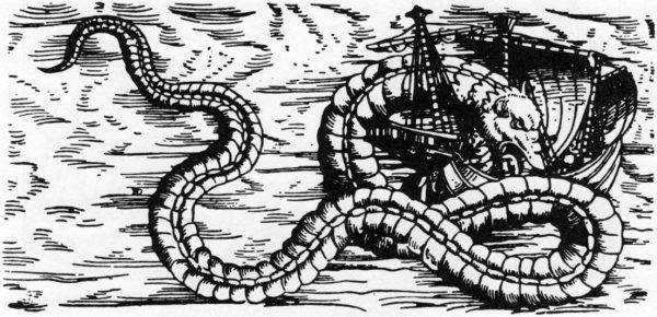 Wąż morski według szwedzkiego kartografia Olausa Magnusa, 1555 (źródło: domena publiczna).