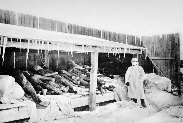 Niemal wszystkie fotografie ukazujące okrucieństwa japońskich doktorów śmierci zostały zniszczone. Nic więc dziwnego, że to zdjęcie, uwieczniające mandżurskie ofiary dżumy z przełomu 1910 i 1911, długo było przedstawiane jako składowisko ciał Jednostki 731 (źródło: domena publiczna).
