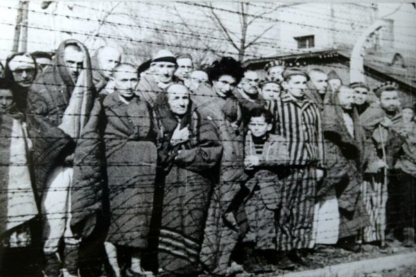 Tak wyglądali wygłodniali więźniowie przy drucie kolczastym podczas wyzwolenia Auschwitz (domena publiczna).