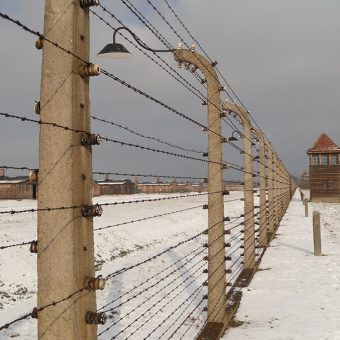 Drut kolczasty wokół KL Auschwitz-Birkenau. Zdjęcie zrobione podczas obchodów 66. rocznicy wyzwolenia obozu (fot. Piotr Drabik, flickr, CC BY 2.0.). Drut kolczasty wokół KL Auschwitz-Birkenau. Zdjęcie zrobione podczas obchodów 66. rocznicy wyzwolenia obozu (fot. Piotr Drabik, flickr, CC BY 2.0.).