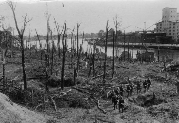 Ten las na Westerplatte wcale nie został zniszczony przez 13 szturmów (fot. Bundesarchiv, Bild 183-2008-0513-500 / CC-BY-SA 3.0).