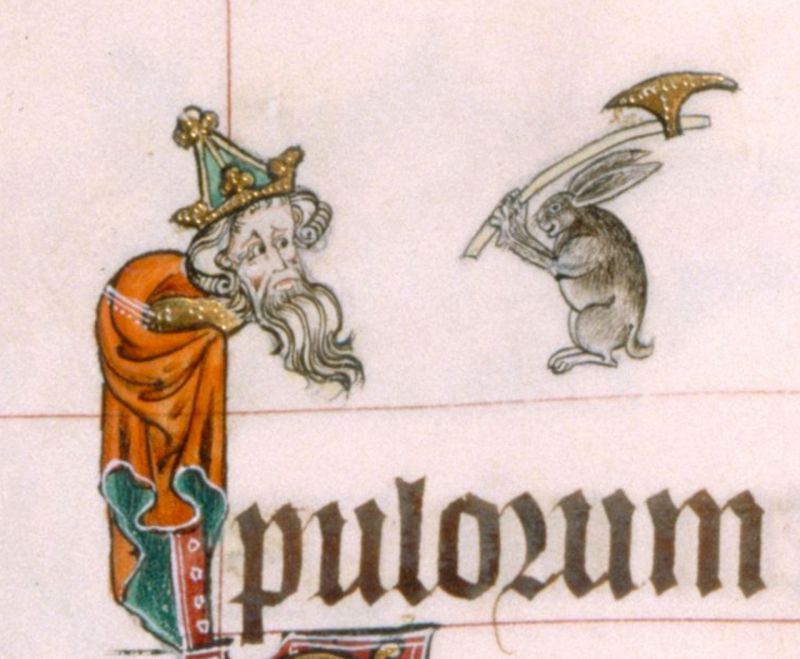 Możesz być nawet królem, przed królikiem z toporem nie ma ucieczki. Psałterz z Gorleston, ok. 1310 r. 