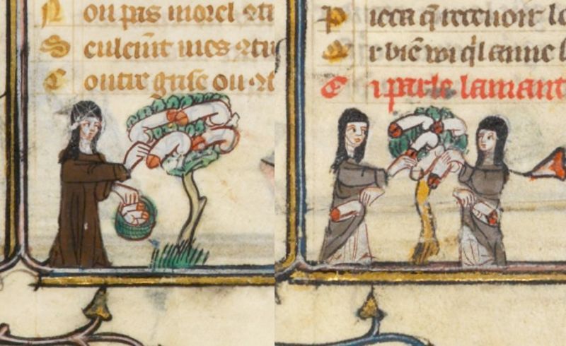 Zastanawiałeś się kiedyś, co hodowano w średniowiecznych ogródkach? Guillaume de Lorris, Jean de Meun, "Powieść o Róży", Francja, XIV wiek.