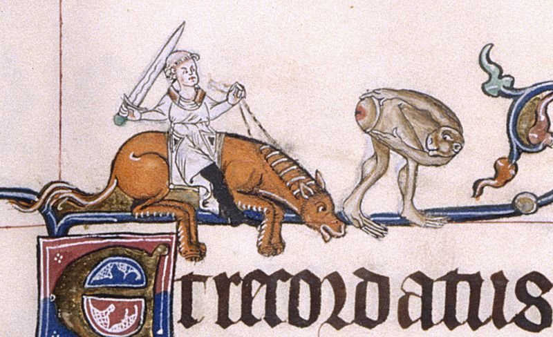 Prawdziwy rycerz niczego się nie boi, nawet małpich zadków. Psałterz z Gorleston, ok. 1310 r.