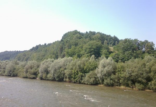 Wzgórze grodowe w Naszacowicach nad Dunajcem. Archeolodzy przypuszczają, że gród mógł pełnić rolę obozu koncentracyjnego dla piastowskich niewolników.