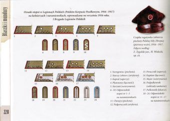 Przykładowa strona z rozdziału "Blaszki i mundury" Przykładowa strona z rozdziału "Blaszki i mundury"