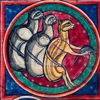 Kot ma mysz. Ala ma płaszcz z kota (A na poważnie ilustracja pochodzi ze średniowiecznego bestiariusza).