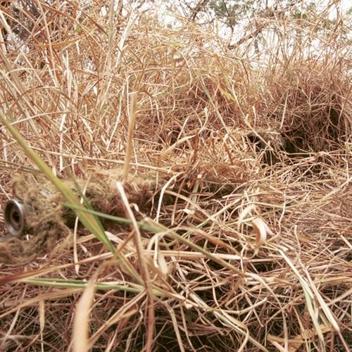 Jak nie można snajpera wypatrzeć, to trzeba go wykurzyć sposobem... (źródło: domena publiczna). Jak nie można snajpera wypatrzeć, to trzeba go wykurzyć sposobem... (źródło: domena publiczna).