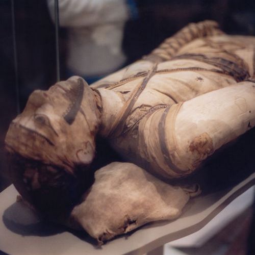 Ta mumia przetrwała czas szalonych maści na stłuczenia (fot. Klafubra, lic. CC BY-SA 3.0). Ta mumia przetrwała czas szalonych maści na stłuczenia (fot. Klafubra, lic. CC BY-SA 3.0).