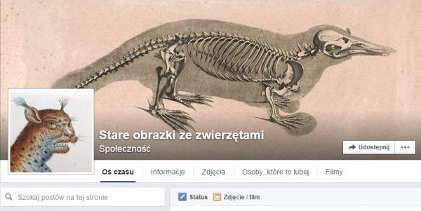 sozz