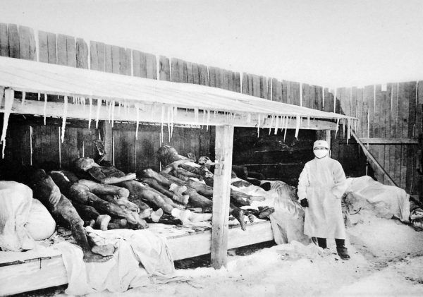 Niemal wszystkie fotografie ukazujące okrucieństwa japońskich doktorów śmierci zostały zniszczone. Nic więc dziwnego, że to zdjęcie, uwieczniające mandżurskie ofiary dżumy z przełomu 1910 i 1911, długo było przedstawiane jako składowisko ciał Jednostki 731 (źródło: domena publiczna). Niemal wszystkie fotografie ukazujące okrucieństwa japońskich doktorów śmierci zostały zniszczone. Nic więc dziwnego, że to zdjęcie, uwieczniające mandżurskie ofiary dżumy z przełomu 1910 i 1911, długo było przedstawiane jako składowisko ciał Jednostki 731 (źródło: domena publiczna).