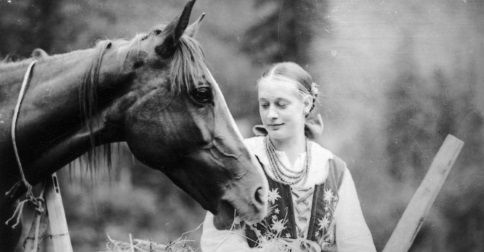 Zapomniany „przysmak”. Dlaczego mieszkańcy przedwojennej Polski zjadali tysiące koni?