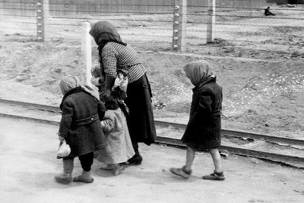 Żydowska rodzina w drodze do komory gazowej (maj/czerwiec 1944) w KZ Auschwitz-Birkenau. To zdjęcie zostało wykonane przez SS-mana Bernharda Waltera za zgodą Adolfa Eichmanna.