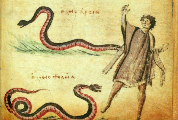 Praski dwór był prawdziwym gniazdem żmij. Jeden nieostrożny krok oznaczał pewną śmierć. Na ilustracji podobizny jadowitych węży z X-wiecznego, bizantyjskiego kodeksu.