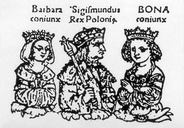 Drzewo genealogiczne Jagiellonów z 1519 roku. Z lewej strony - Barbara Zapolya.