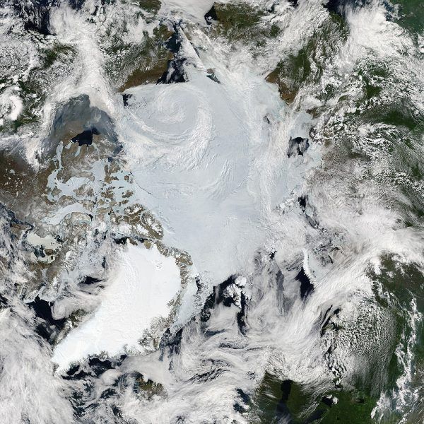 Warunki panujące w tym lodowym piekle są naprawdę zatrważające. Tylko nielicznym udało się przystosować do nich tak, aby przetrwać codzienność. Mozaika zdjęć satelitarnych Arktyki.