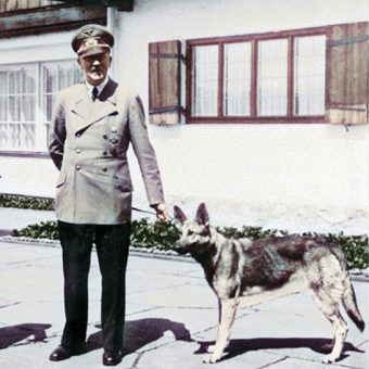 Adolf Hitler z suczką Blondi. Adolf Hitler z suczką Blondi.