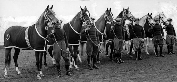 Prezentacja polskich koni krwi arabskiej. Fotografia z 1937 roku