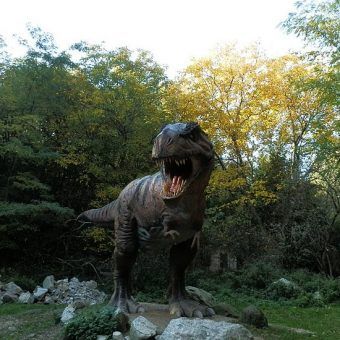 Dinozaury pojawiły się na Ziemi miliony lat temu. Dziś możemy podziwiać je jedynie w muzeach.
