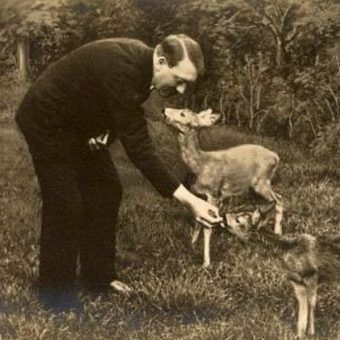 Miłość do zwierząt skłoniła Hitlera do porzucenia jedzenia mięsa. Ale dyktator miał też inny, bardziej egoistyczny powód do zmiany diety.