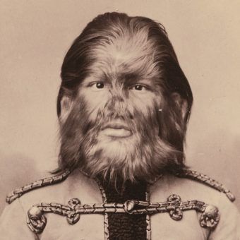 Fiodor Jeftichiew zarobił w Ameryce setki tysięcy dolarów. Fiodor Jeftichiew zarobił w Ameryce setki tysięcy dolarów.