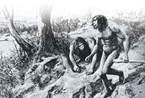Hesperopithecus miał być brakującym ogniwem ewolucji