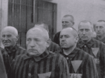 Jaki los spotkał europejskich homoseksualistów w czasie II wojny światowej?