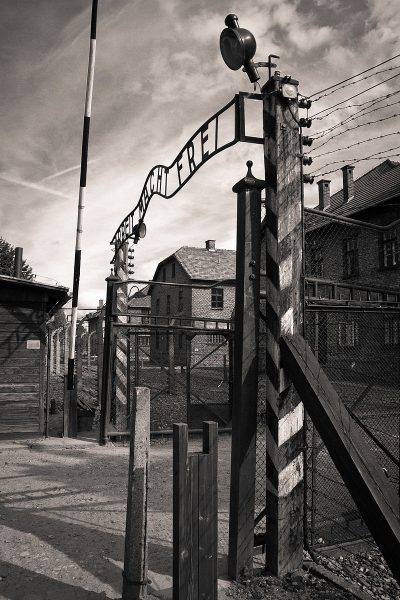 Po wojnie Mimi pomogła stworzyć Muzeum Auschwitz-Birkenau.