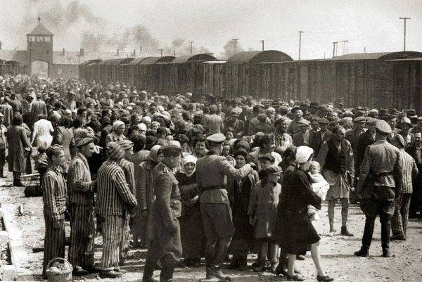 Selekcja węgierskich Żydów w Auschwitz.