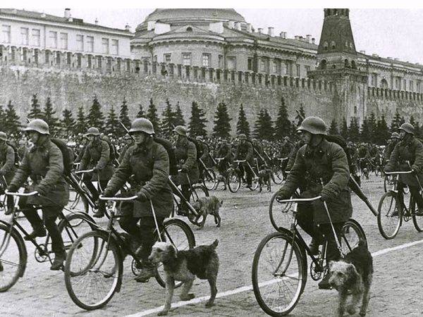 Psy były i są ważnym elementem armii. Nie inaczej było w Związku Radzieckim (zdj. poglądowe)