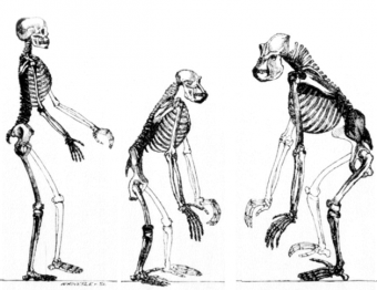 Blisko 150 tysięcy lat temu ziemię zamieszkiwali nie tylko Homo sapiens i neandertalczycy.
