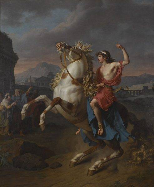 Bucefał towarzyszył mu we wszystkich kampaniach wojennych. Aleksander uważał go za jednego z najlepszych przyjaciół.