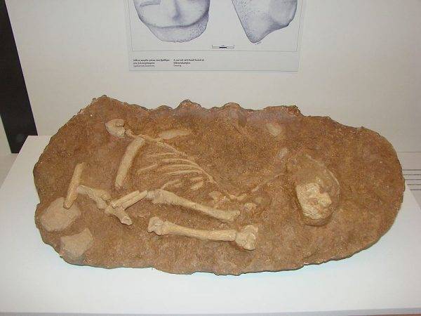 Szczątki kota pogrzebanego przeszło 7000 lat p.n.e.
