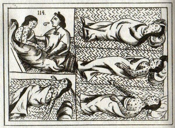 Jaki miało to związek przybyciem Europejczyków do Nowego Świata? Razem z nimi za ocean dotarły europejskie zarazki takie jak: ospa prawdziwa, odra, grypa, dżuma, malaria, błonica, tyfus i cholera.
